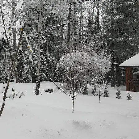 Eho Apartment Zlatibor