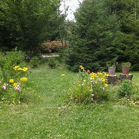 Eho Zlatibor